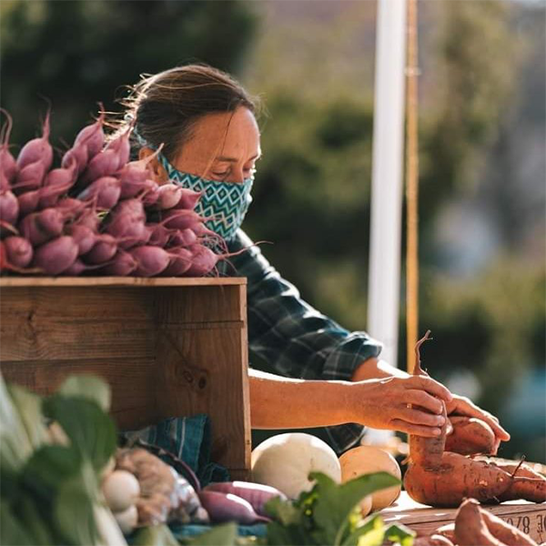 Vendor wearing a mask organizing produce at a vegetable stand Vendor wearing a mask organizing produce at a vegetable stand
