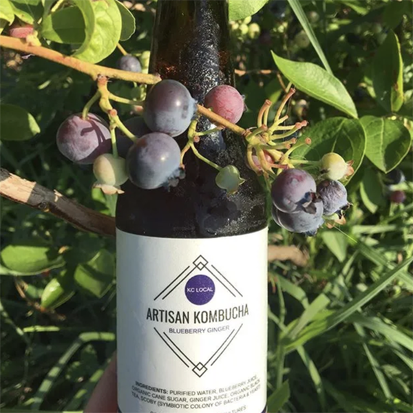 Artisan Kombucha main post image Artisan Kombucha portrait or main logo