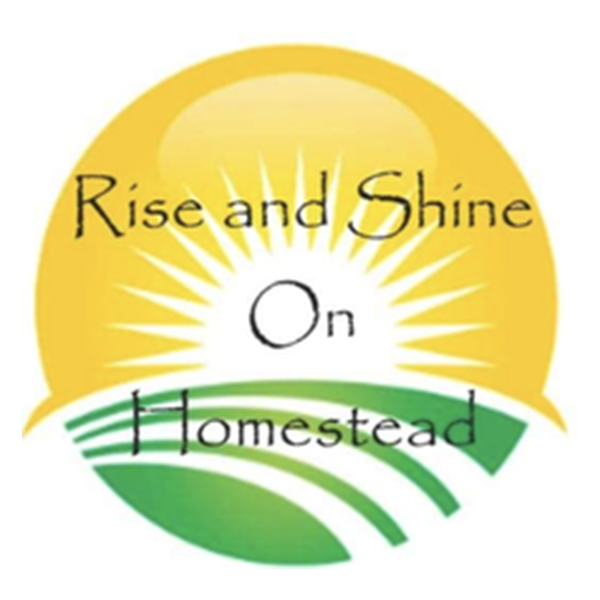 Vector logo showing a sunrise for Rise and Shine on the Homestead farm Vector logo showing a sunrise for Rise and Shine on the Homestead farm
