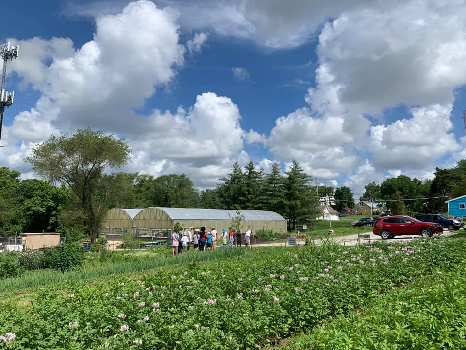 KC Farm School field of green KC Farm School field of green
