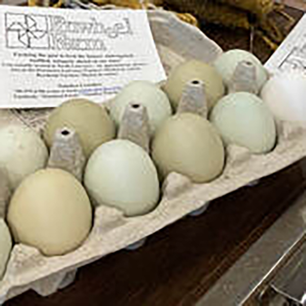 Pinwheel Farm eggs in a carton Pinwheel Farm eggs in a carton