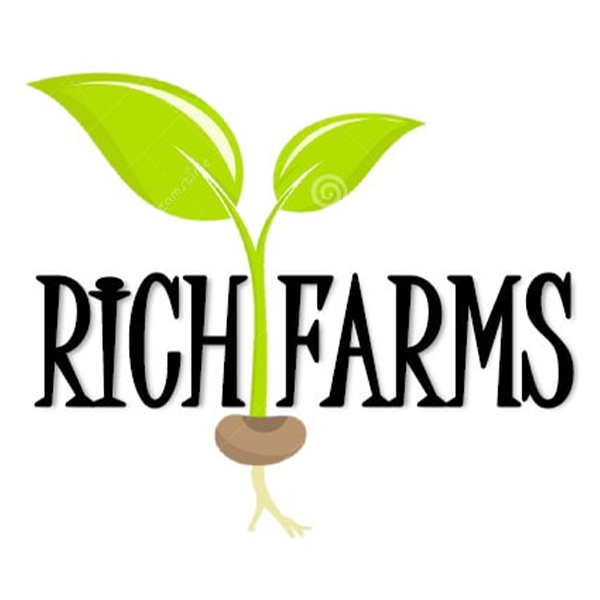Logo for Rich Farms that consists of a wordmark and a stylized seedling Logo for Rich Farms that consists of a wordmark and a stylized seedling