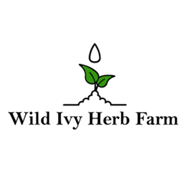 Illustrated logo of a seedling and the Wild Ivy Herb Farm wordmark Illustrated logo of a seedling and the Wild Ivy Herb Farm wordmark