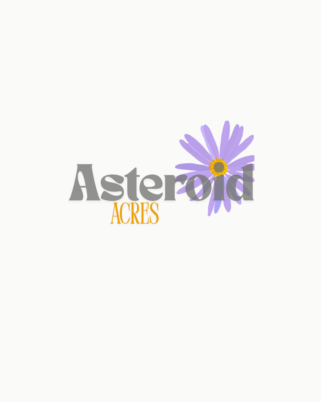 Asteroid Acres main post image Asteroid Acres portrait or main logo