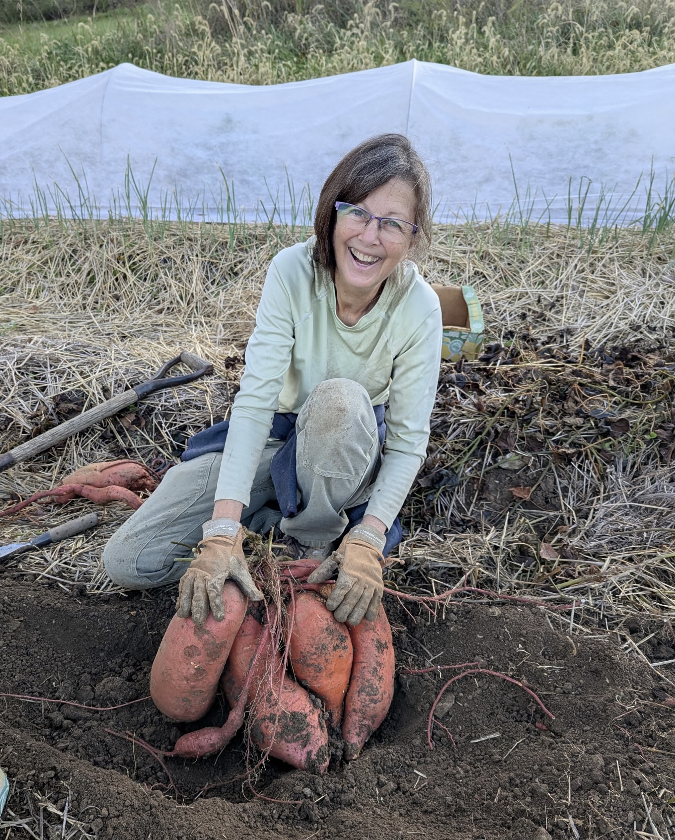 Grasshopper Urban Farm portrait or main logo